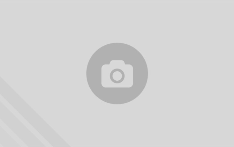 cache/resized/907419054e7fae0b8628bc4dc62de311.jpg