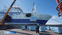 В морпорту Петропавловска‑Камчатского произошла трагедия:погиб водитель спецтранспорта.