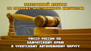 Судебные приставы Камчатки в ноябре распродадут имущество должников