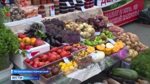 Выставка-ярмарка &laquo;Дары камчатской осени&raquo; пройдет в выходные на Северо-Востоке
