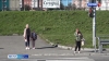 Госавтоинспекция напомнила детям и взрослым о правилах дорожного движения
