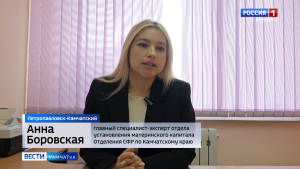 Маткапитал на образование детей