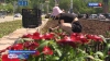 В Петропавловске-Камчатском проходят ежегодные высадки цветов