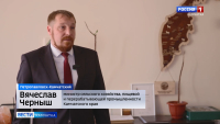 На платформе «Всё Своё» начал работать сервис «Меры поддержки личных подсобных хозяйств»