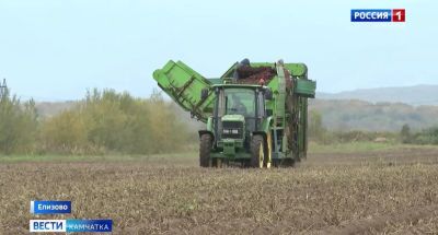 Урожай пошёл в хранилища