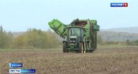 Урожай пошёл в хранилища