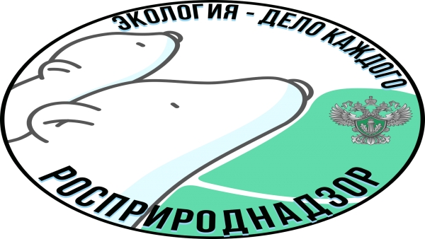 Камчатские школьники могут принять участие в экологическом проекте