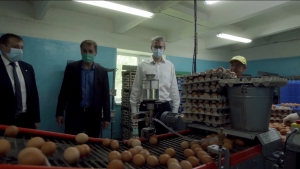 Камчатская птицефабрика готовится к выпуску новой продукции