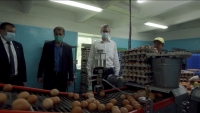 Камчатская птицефабрика готовится к выпуску новой продукции