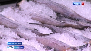 Как санкции повлияют на экспорт камчатской рыбной продукции?