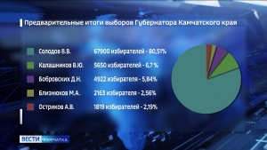 Предварительные итоги голосования