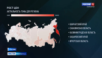 Итоги года с Владимиром Путиным