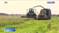 На полуострове подводят итоги уборочной кампании 2022 года