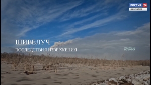 Шивелуч. Последствия извержения