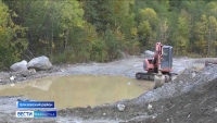 Золотодобытчики нанесли урон экобалансу ручья Каменистый