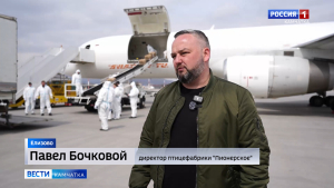 Вторая партия цыплят