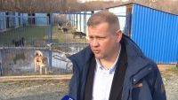В Петропавловске построят новый муниципальный приют для животных