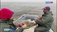Пограничная служба ФСБ России пресекла незаконный вылов водных биоресурсов