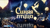 «Синяя птица» набирает участников