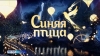 &laquo;Синяя птица&raquo; набирает участников