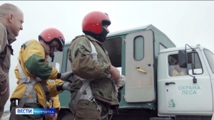 Елизовская лесоохрана подтвердила квалификацию