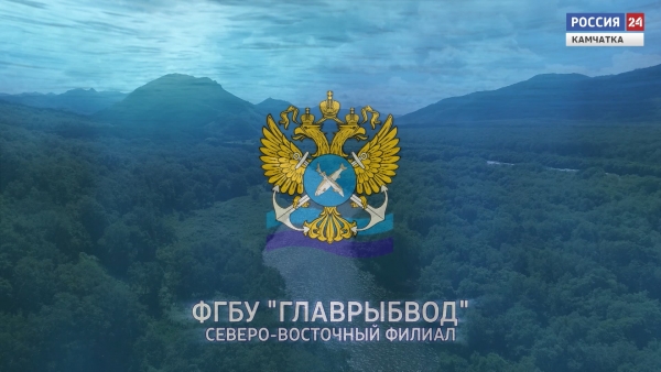 К юбилею Главрыбвода: 75 лет на страже водных биоресурсов