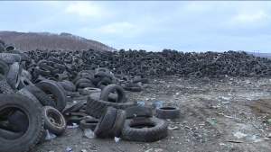 Прием покрышек возобновится с 1 октября