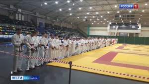 Камчатские самбисты пополнили свою копилку новыми наградами