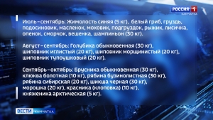 Сбор грибов и ягод