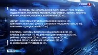 Сбор грибов и ягод