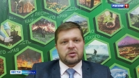 Житель Камчатки незаконно вырубил деревья каменной березы