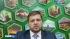 Житель Камчатки незаконно вырубил деревья каменной березы