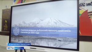 Рыбная промышленность должна обеспечить социальное благополучие камчатцев