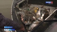 На реке Камчатке проходят круглосуточные рейды рыбоохраны