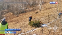 Сотрудники МЧС привлечены к поиску мужчины, пропавшего в районе Мишенной сопки