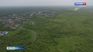 Улучшение породного и качественного состава лесов