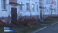 В на улицах поселка Коряки разгуливает садист