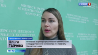 Подсчёт охотничьих ресурсов