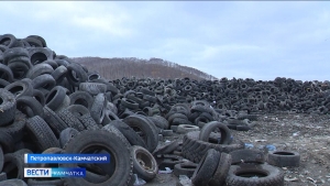 Автопокрышки ждут в следующем году