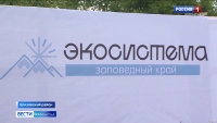 На Камчатке начал работу форум "Экосистема. Заповедный край"
