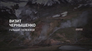 Визит Чернышенко
