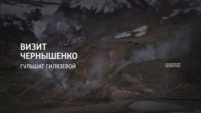 Визит Чернышенко
