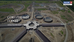 Соколиный город