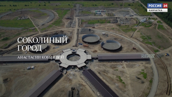Соколиный город