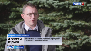 Незаконные свалки