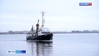 Путина этого года может стать одной из лучших