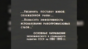 &laquo;Где купить живую рыбу?&raquo;