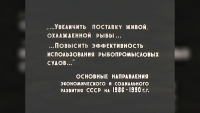 «Где купить живую рыбу?»