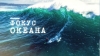 Фокус океана. Эпизод 2. Волны