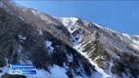 ДТП с туристами в Елизово